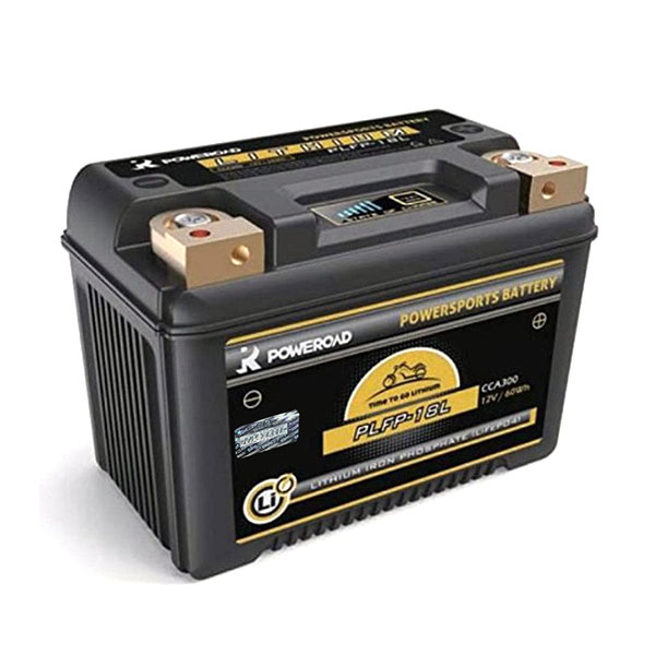 Daisy on the Ohoopee